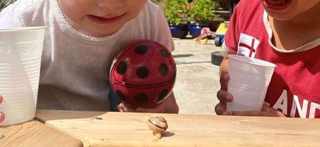 børn kigger på en snegl
