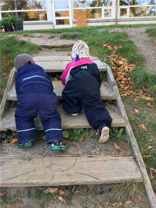 børn kravler op ad trappe